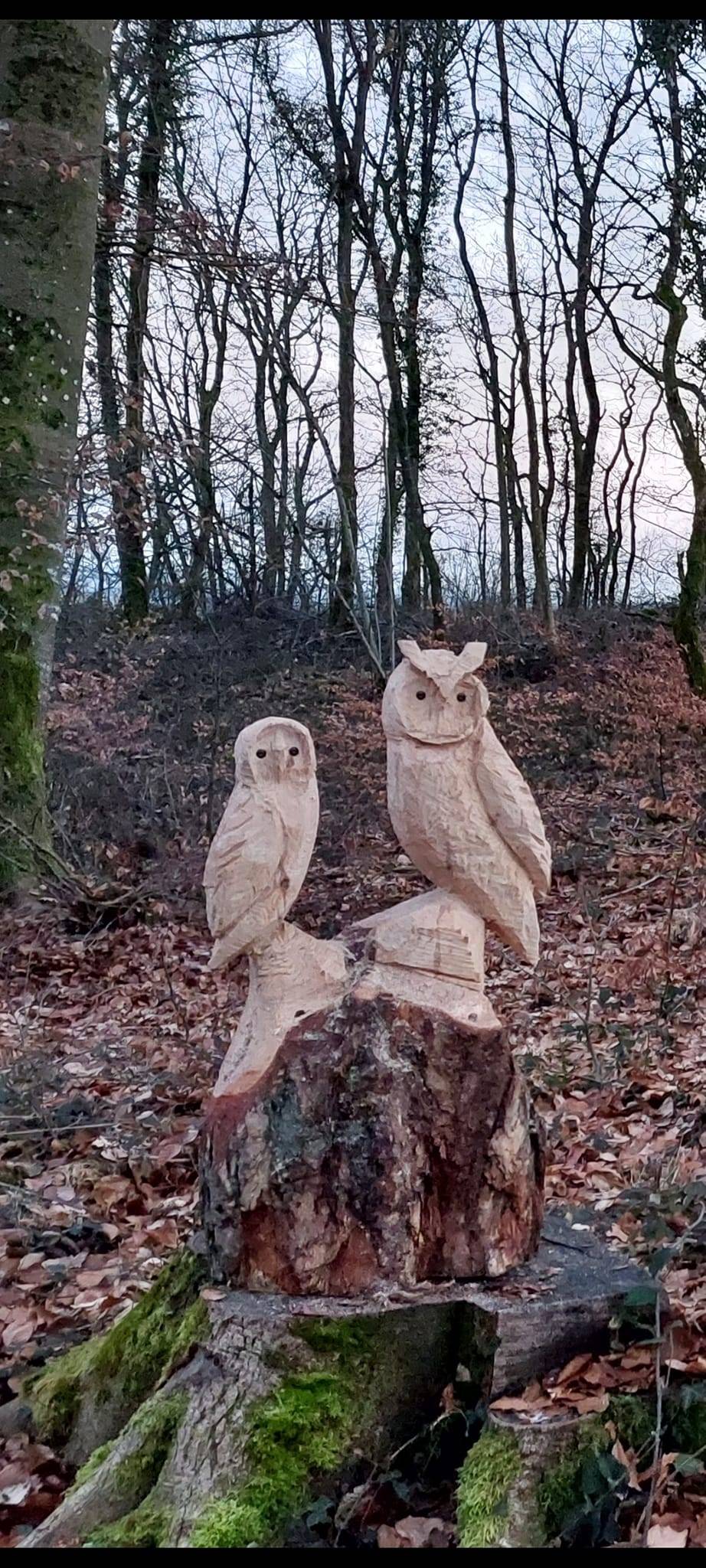 sculture-arbre-chouette-hibou